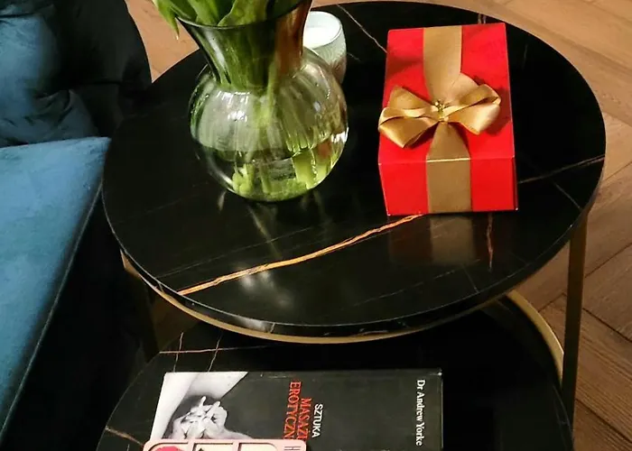 公寓 Plac Zabaw 罗兹